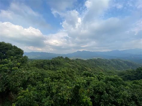 三丁山|一小時攻頂！台中太平「三汀山」超親民 登好漢坡俯瞰頭汴坑溪。